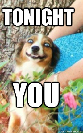 TONIGHT YOU  Overly Attached Dog