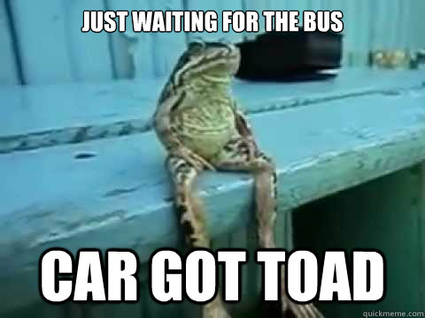 just waiting for the bus  car got toad  
