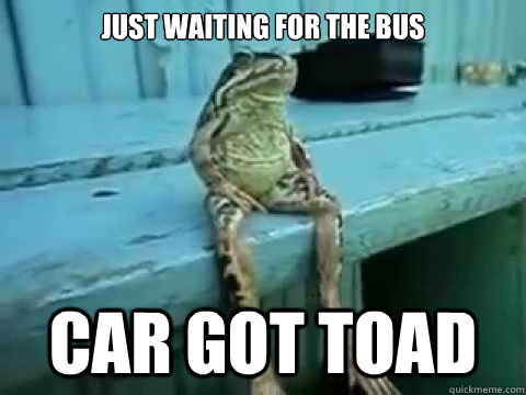 just waiting for the bus  car got toad - just waiting for the bus  car got toad  SITTING FROG