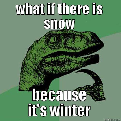 WHAT IF THERE IS SNOW BECAUSE IT'S WINTER Philosoraptor