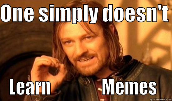 ONE SIMPLY DOESN'T  LEARN                MEMES  Boromir