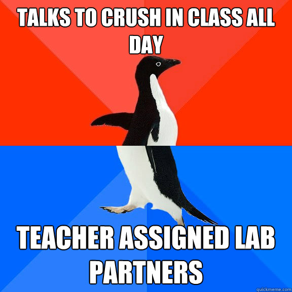 Talks to crush in class all day teacher assigned lab partners  Socially Awesome Awkward Penguin