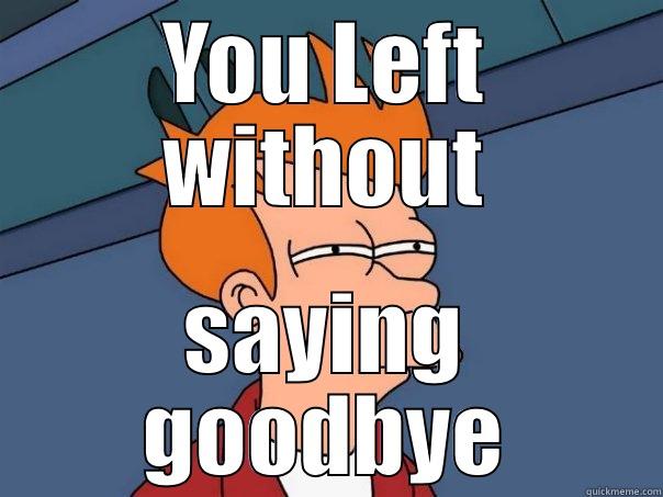 YOU LEFT WITHOUT SAYING GOODBYE Futurama Fry