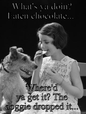 WHAT'S YA DOIN? EATEN CHOCOLATE...  WHERE'D YA GET IT? THE DOGGIE DROPPED IT... Misc