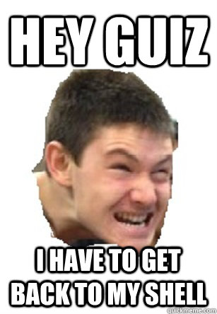 Hey Guiz I have to get back to my shell  Lukas Meme