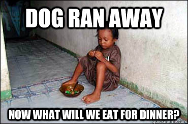 dog ran away now what will we eat for dinner? - dog ran away now what will we eat for dinner?  Third World Problems