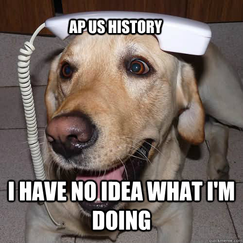 I have no idea what I'm doing AP US History - I have no idea what I'm doing AP US History  I have no idea dog