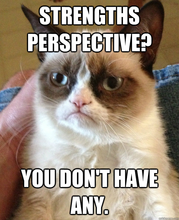 Strengths perspective? you don't have any.  grumpycat
