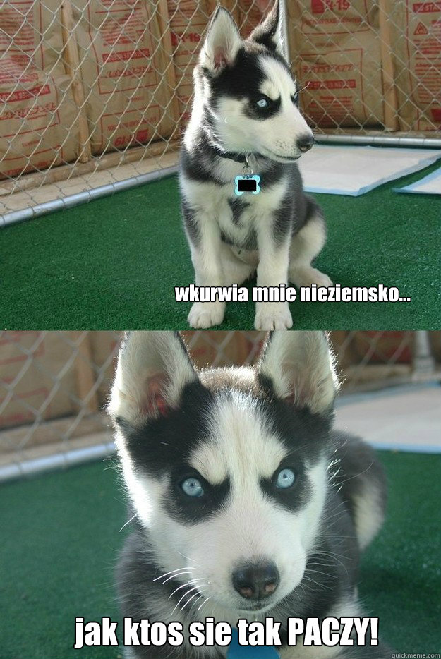 wkurwia mnie nieziemsko... jak ktos sie tak PACZY!  Insanity puppy
