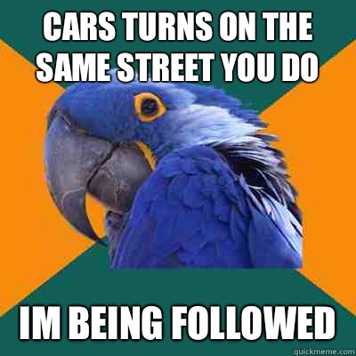 Cars turns on the same street you do Im being followed   Paranoid Parrot