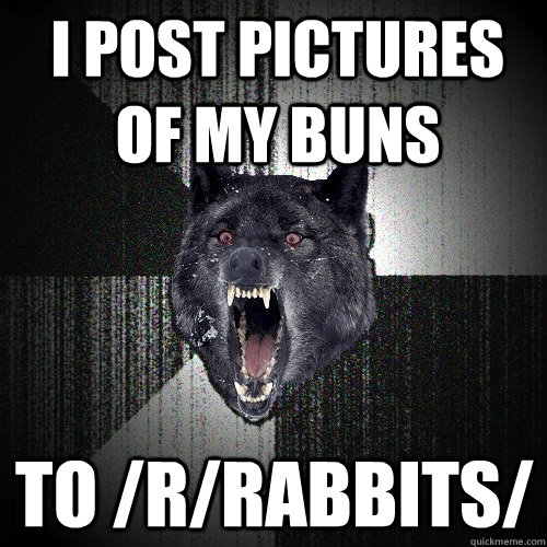 I post pictures of my buns to /r/Rabbits/  Insanity Wolf