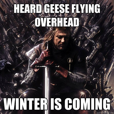 Heard Geese Flying overhead winter is coming  Ned Stark