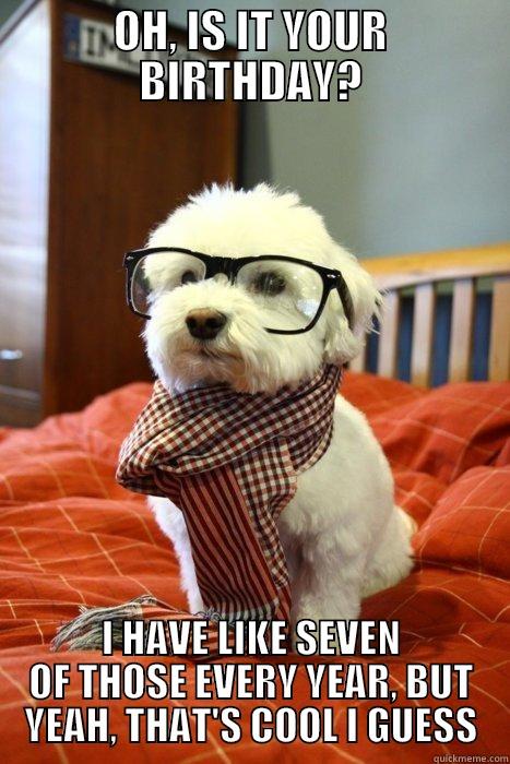 Oh, is it your birthday? - OH, IS IT YOUR BIRTHDAY? I HAVE LIKE SEVEN OF THOSE EVERY YEAR, BUT YEAH, THAT'S COOL I GUESS Hipster Dog