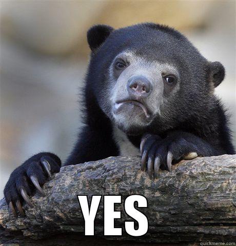  YES Confession Bear