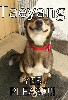TAEYANG YES PLEASE!!! Good Dog Greg