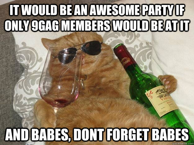 It would be an awesome party if only 9gag members would be at it and babes, dont forget babes  Party Cat