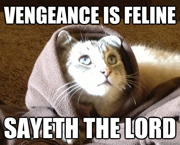 Vengeance is feline sayeth the Lord  Kitty Jesus