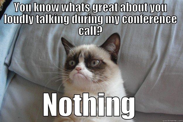 YOU KNOW WHATS GREAT ABOUT YOU LOUDLY TALKING DURING MY CONFERENCE CALL? NOTHING Grumpy Cat