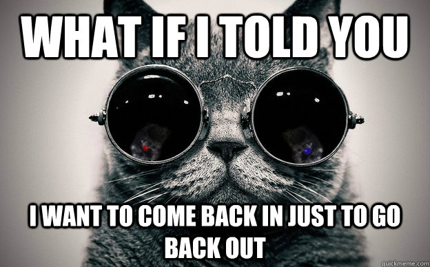 What if i told you I want to come back in just to go back out - What if i told you I want to come back in just to go back out  Cat morpheus plus paws