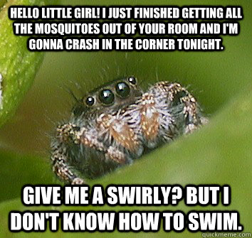 Hello little girl! I just finished getting all the mosquitoes out of your room and I'm gonna crash in the corner tonight. Give me a swirly? But I don't know how to swim.  Misunderstood Spider