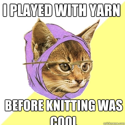I Played With Yarn Before Knitting Was Cool  Hipster Kitty