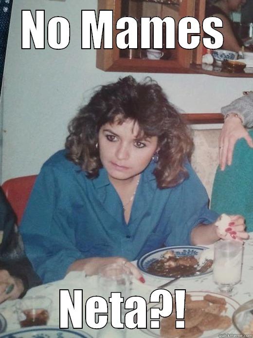 NO MAMES NETA?! Misc