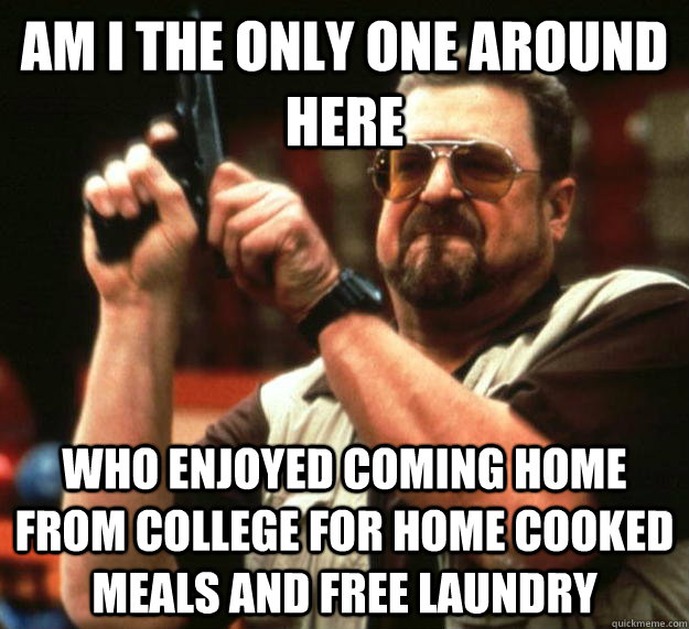 am I the only one around here who enjoyed coming home from college for home cooked meals and free laundry - am I the only one around here who enjoyed coming home from college for home cooked meals and free laundry  Angry Walter