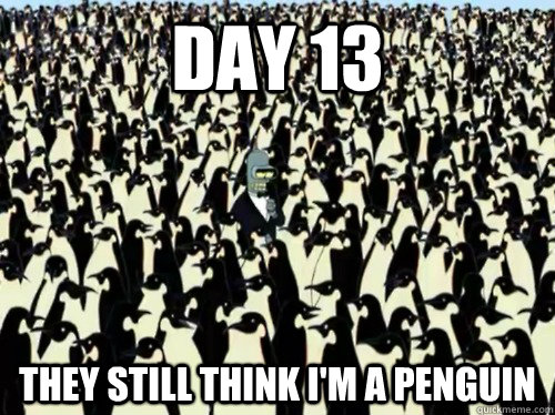 Day 13  They still think I'm a penguin  