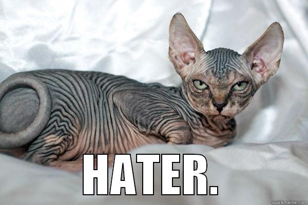  HATER. Misc