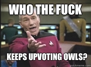 Who the fuck Keeps upvoting owls?  Annoyed Picard