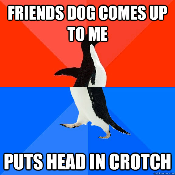 Friends dog comes up to me Puts head in crotch  Socially Awesome Awkward Penguin