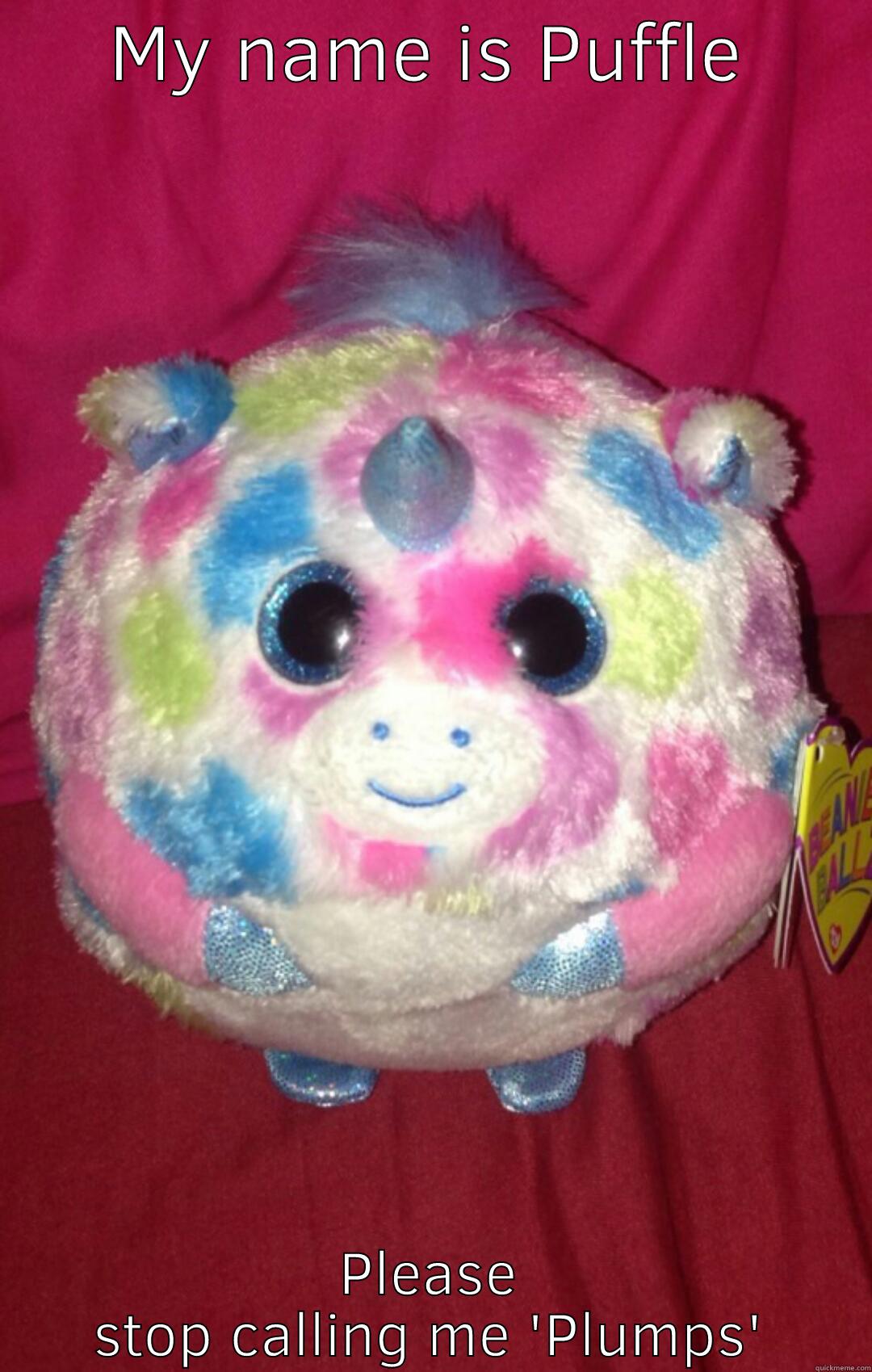 MY NAME IS PUFFLE PLEASE STOP CALLING ME 'PLUMPS' Misc