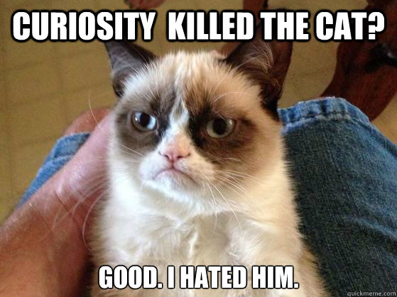 Curiosity  Killed the cat? Good. I hated him. - Curiosity  Killed the cat? Good. I hated him.  AngryCat