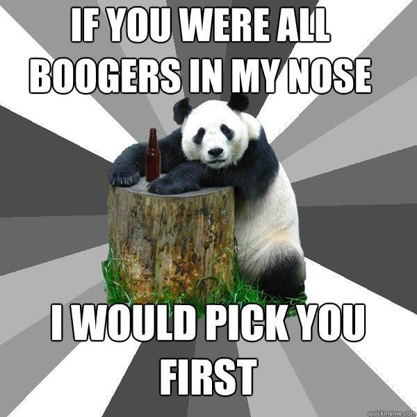 if you were all boogers in my nose i would pick you first  Pickup-Line Panda