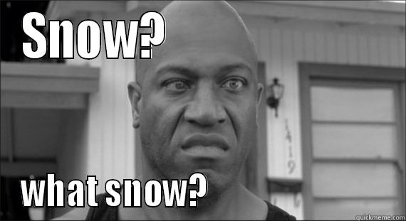 SNOW?                        WHAT SNOW?                           Misc