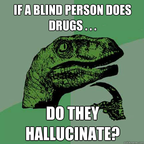 If a blind person does drugs . . . Do they hallucinate?  Philosoraptor