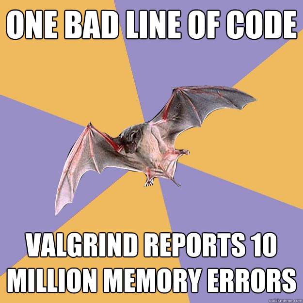 One bad line of code VALGRIND REPORTS 10 million memory errors  Engineering Major Bat
