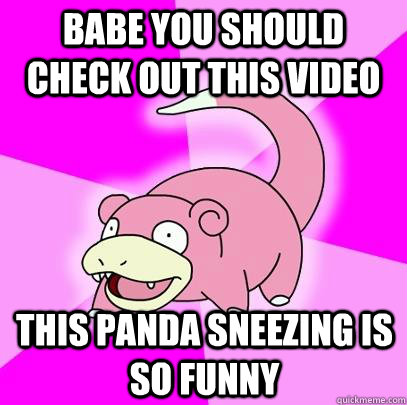 Babe you should check out this video This Panda sneezing is so funny  Slowpoke
