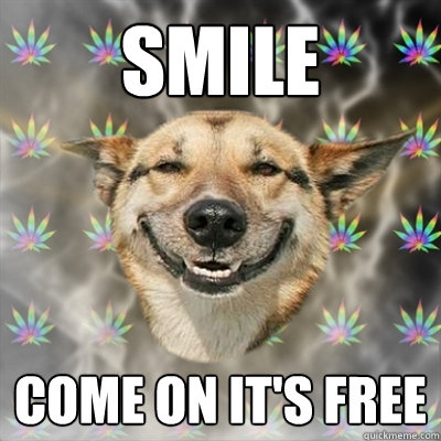 SMILE Come on it's free  Stoner Dog