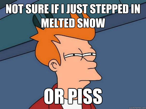 Not sure if i just stepped in melted snow Or piss  Futurama Fry