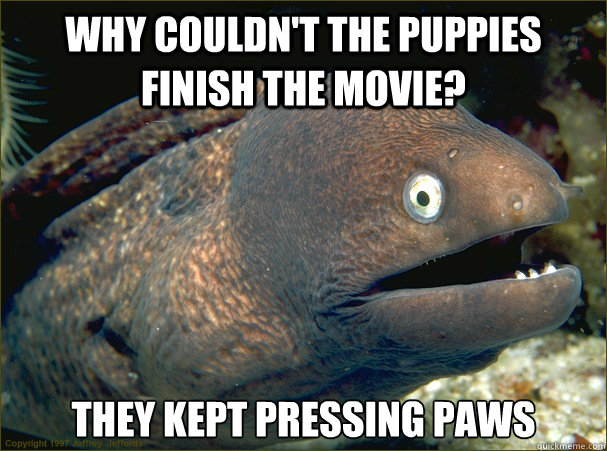 Why couldn't the puppies finish the movie? They kept pressing paws  Bad Joke Eel