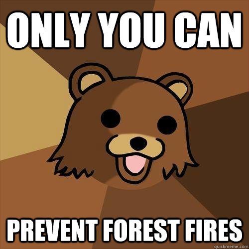 only you can  prevent forest fires  Pedobear