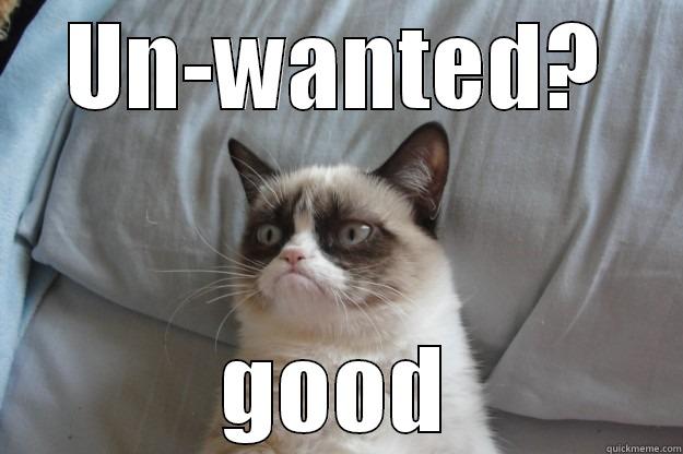 UN-WANTED? GOOD Grumpy Cat