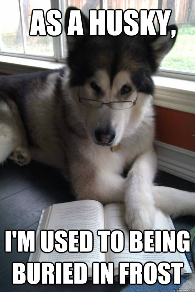 as a husky, i'm used to being buried in frost  Condescending Literary Pun Dog