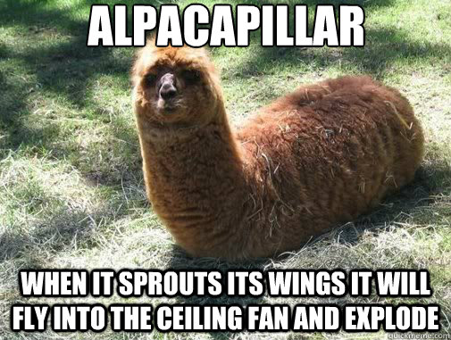alpacapillar when it sprouts its wings it will fly into the ceiling fan and explode  Alpacapillar