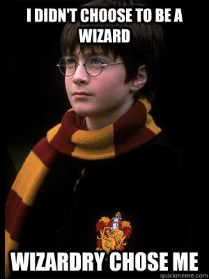 I didn't choose to be a wizard Wizardry chose me  - I didn't choose to be a wizard Wizardry chose me   Thug Life Potter