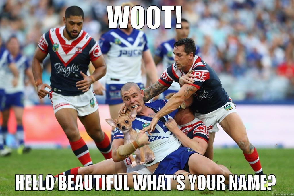 WOOT! HELLO BEAUTIFUL WHAT'S YOUR NAME? Misc