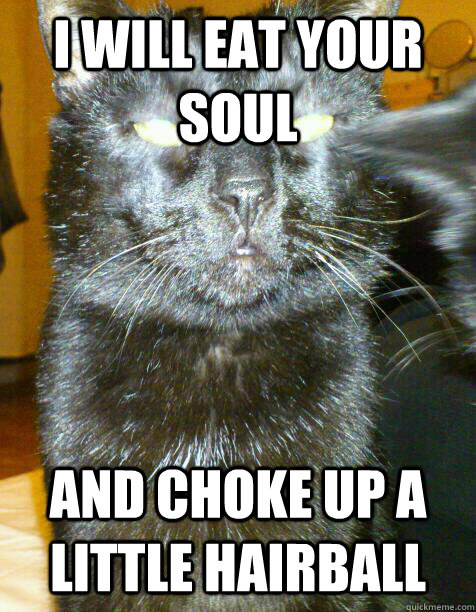 I WILL EAT YOUR SOUL AND CHOKE UP A LITTLE HAIRBALL - I WILL EAT YOUR SOUL AND CHOKE UP A LITTLE HAIRBALL  Evil Cat