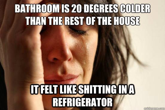Bathroom is 20 degrees colder than the rest of the house it felt like shitting in a refrigerator  First World Problems