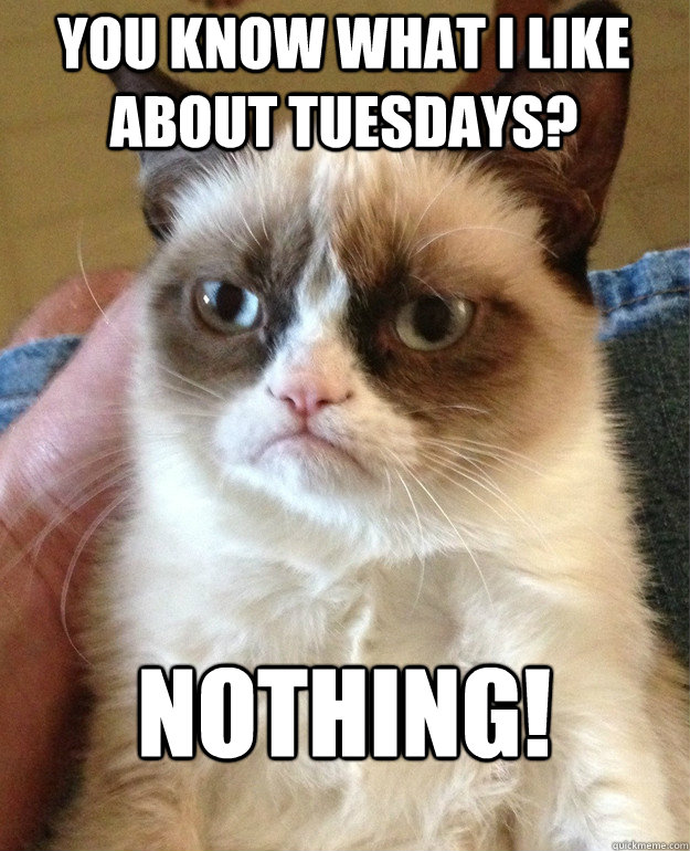 you know what i like about tuesdays? nothing! - you know what i like about tuesdays? nothing!  Grumpy Cat